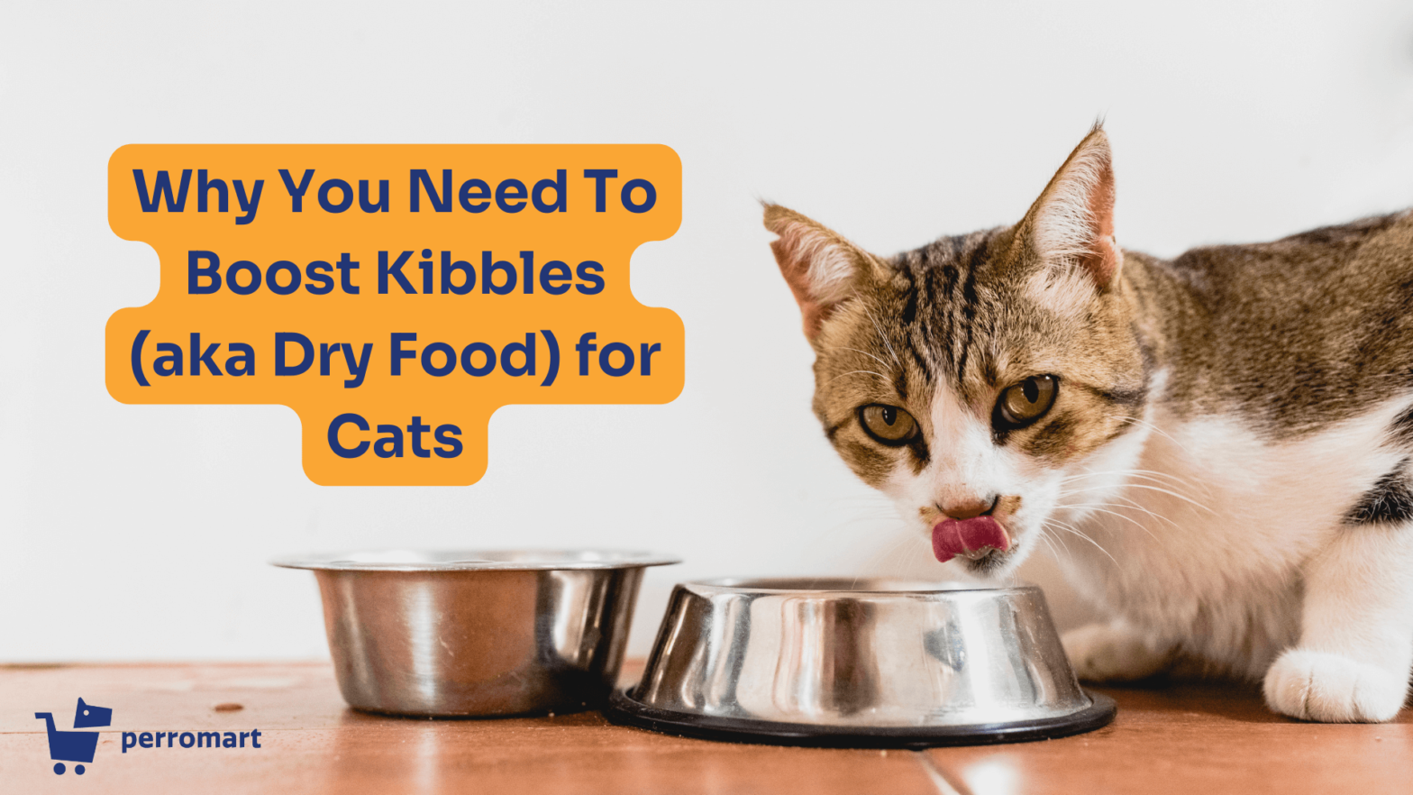 Why You Need To Boost Kibbles (aka Dry Food) for Cats
